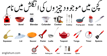 Kitchen utensils in English with Urdu Meaning
