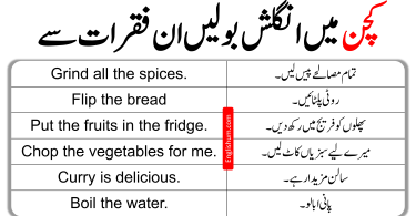 37 Sentences Used in the Kitchen with Urdu Meaning