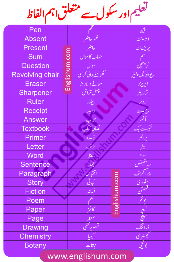 Education Related Vocabulary