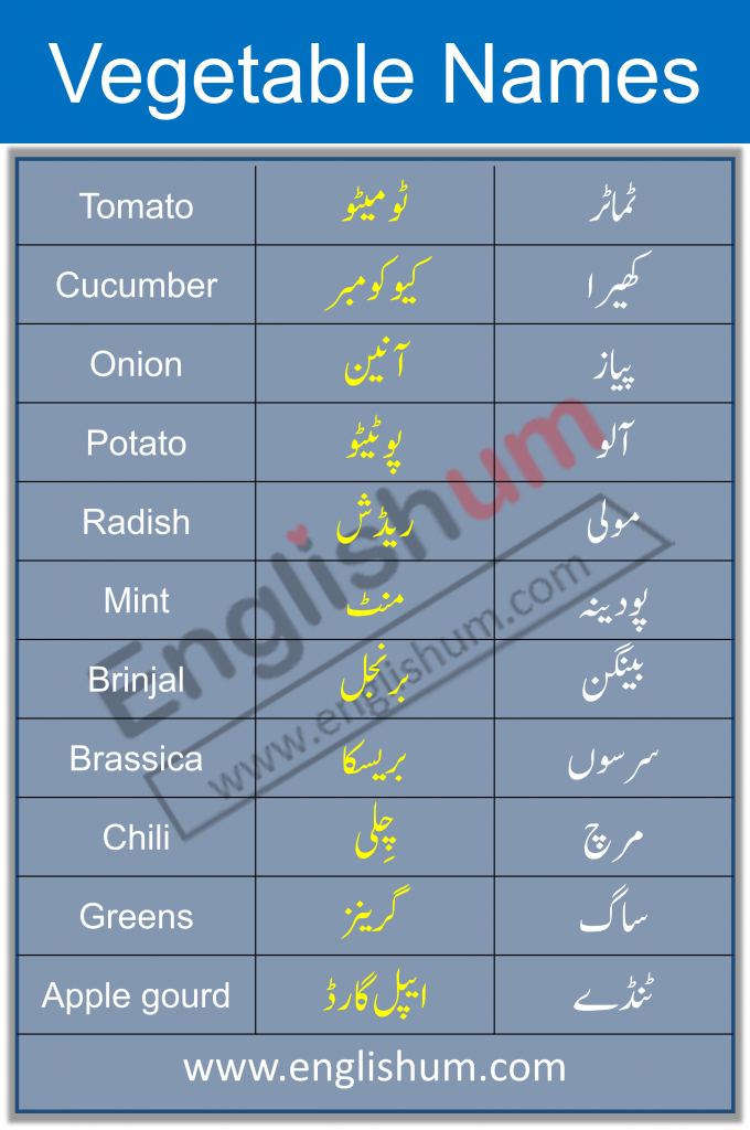 Vegetable Vocabulary in English and Urdu