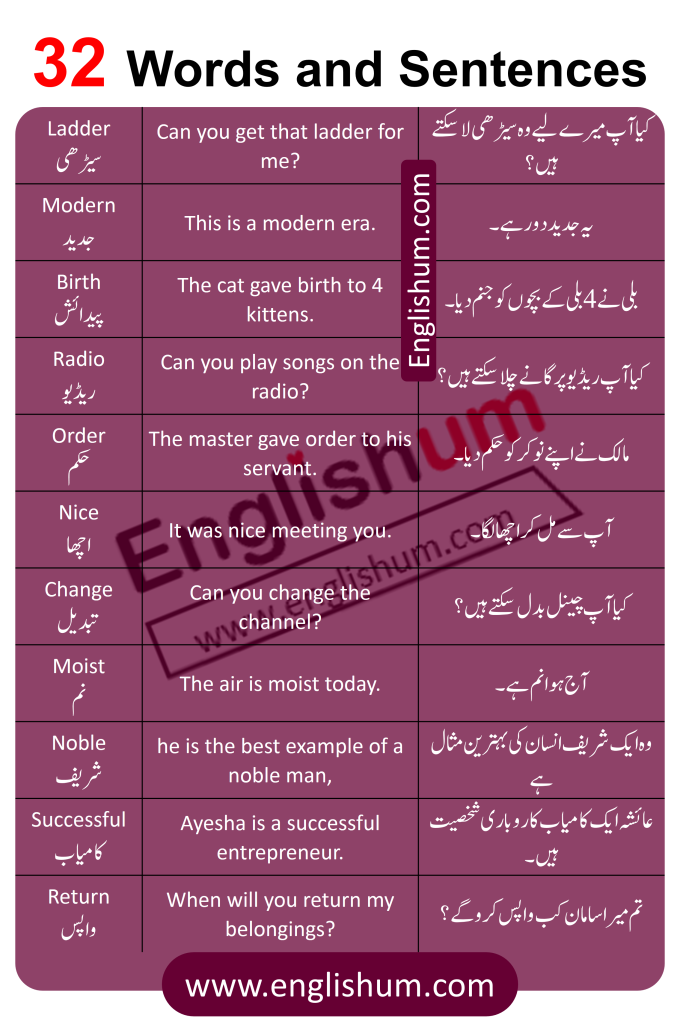 Vocabulary Words With Sentences in Urdu and English