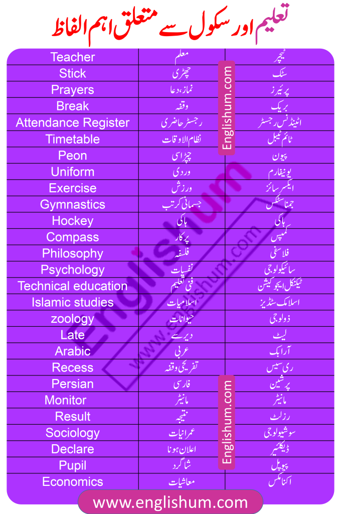 99 Education and School Related Vocabulary