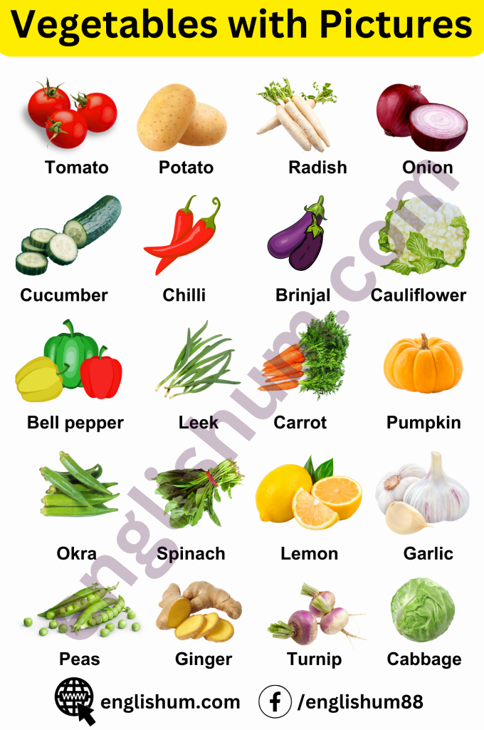 35 Vegetable Names in English and Urdu