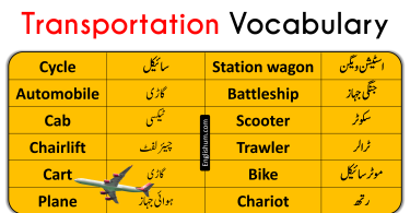62 Vocabulary Related Transportation in English and Urdu