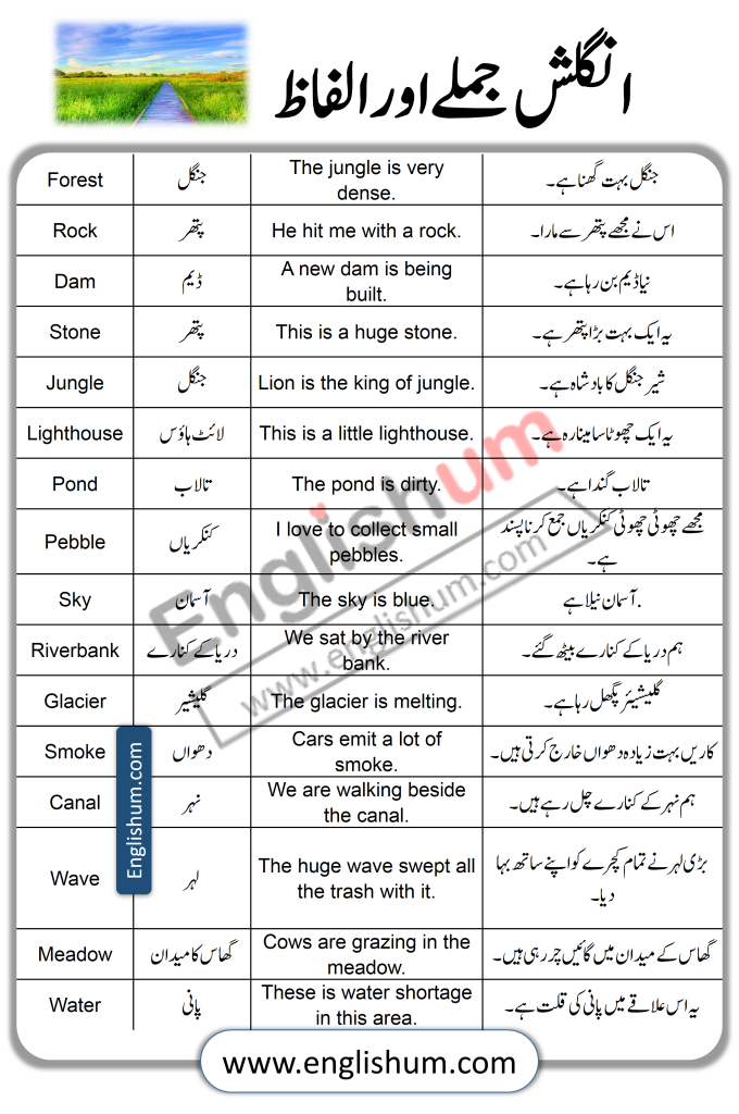 42 Vocabulary Sentences about Nature