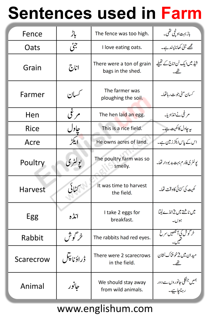 English Sentence with Urdu Translation Used in Farm