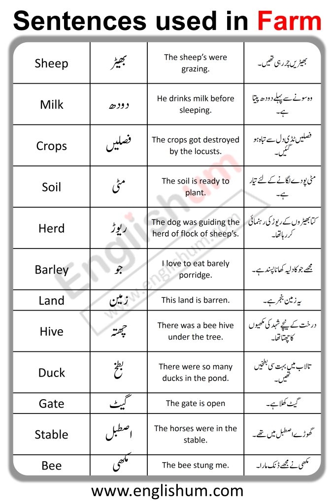 31 English Sentence with Urdu Translation Used in Farm