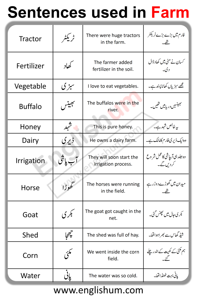 English Sentence with Urdu Translation Used in Farm PDF