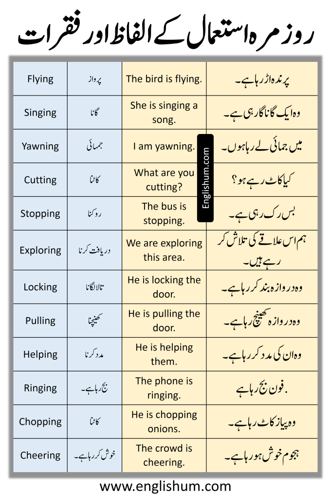 English to Urdu Vocabulary and Sentences PDF