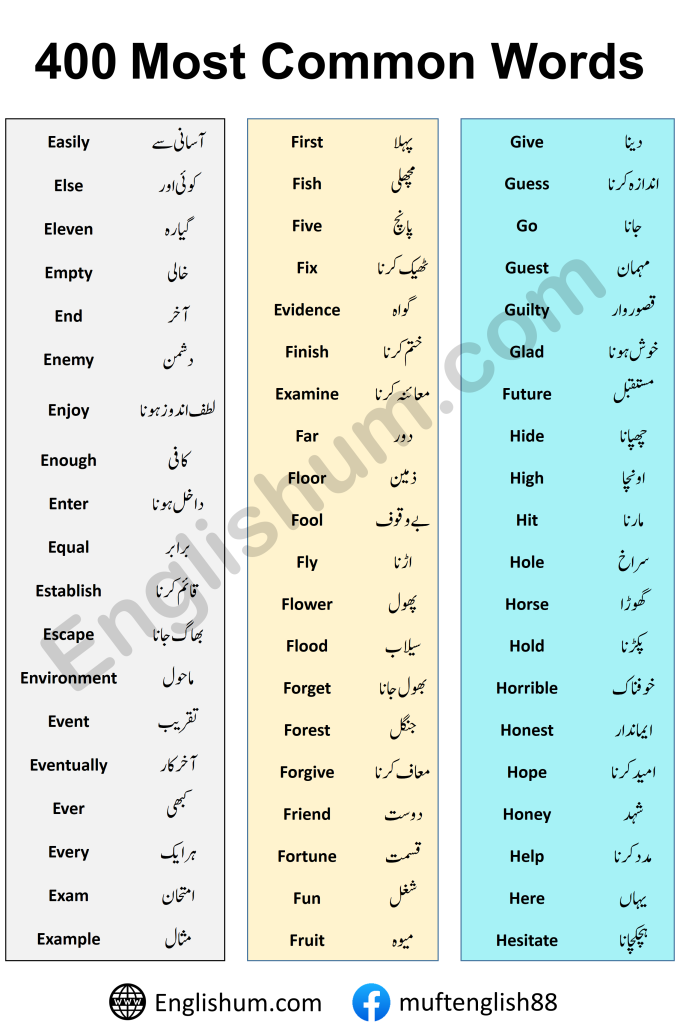Basic English Vocabulary