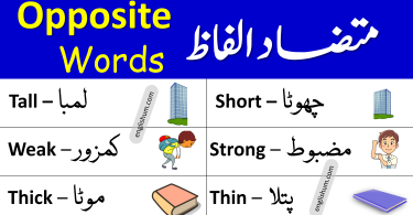 Opposite Words List with Urdu Meanings - Antonyms