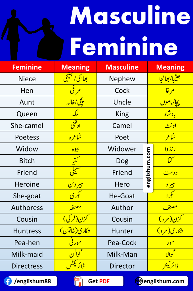 Masculine and Feminine English to Urdu