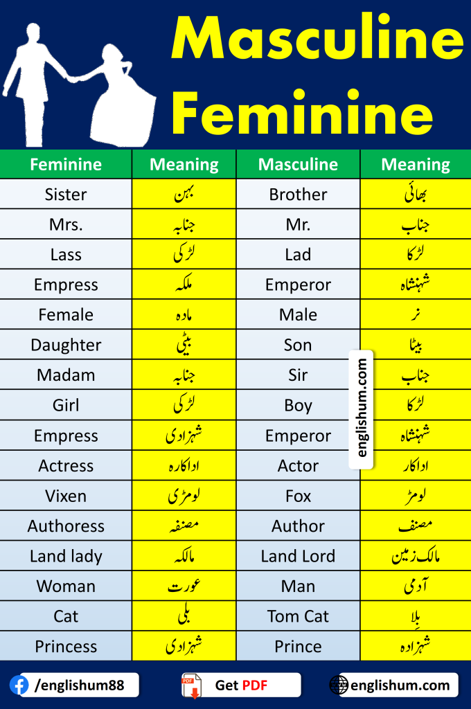 Masculine and Feminine Vocabulary