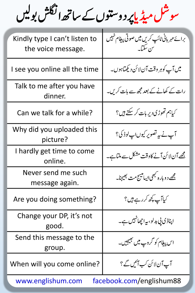 Social Media Sentences in English and Urdu