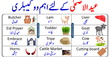 Eid ul Adha Vocabulary Words in English and Urdu