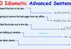 100 Best Idiomatic Sentences with Urdu Translation