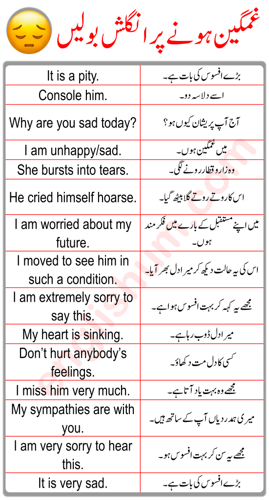 Sadness Related English Sentences with Urdu Translation
