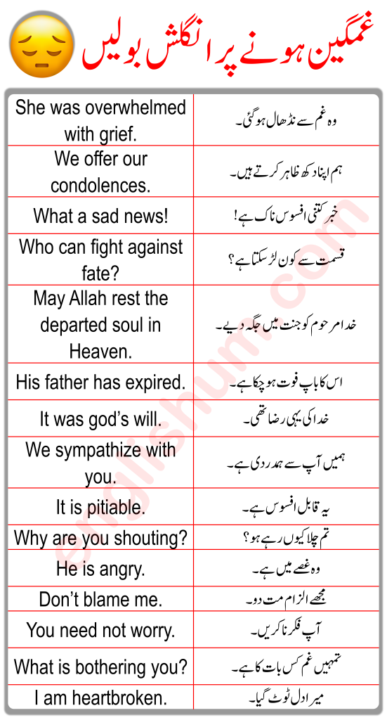 Sadness Related English To Urdu Sentences