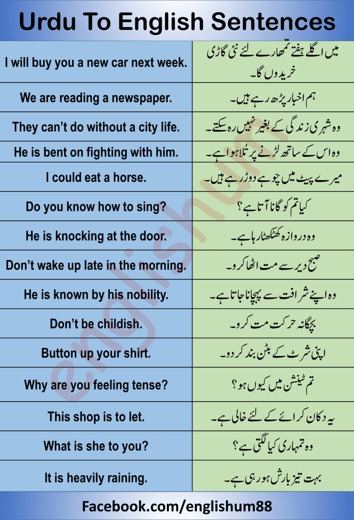 Urdu to English Translation Practice Sentences