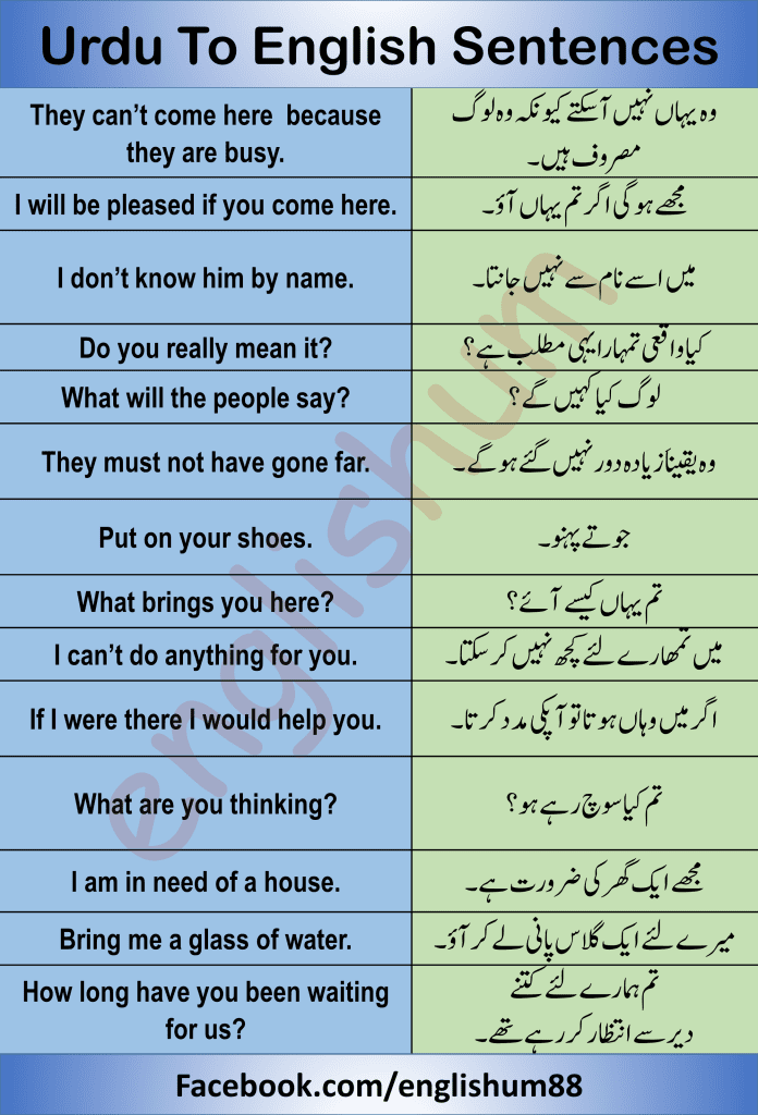 Urdu to English Sentences Translation Exercise 